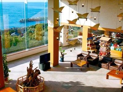 Ashizuri Kokusai Hotel Tosashimizu Экстерьер фото